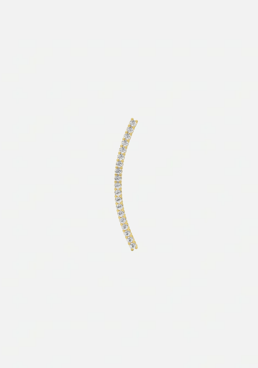 Iris climber earring