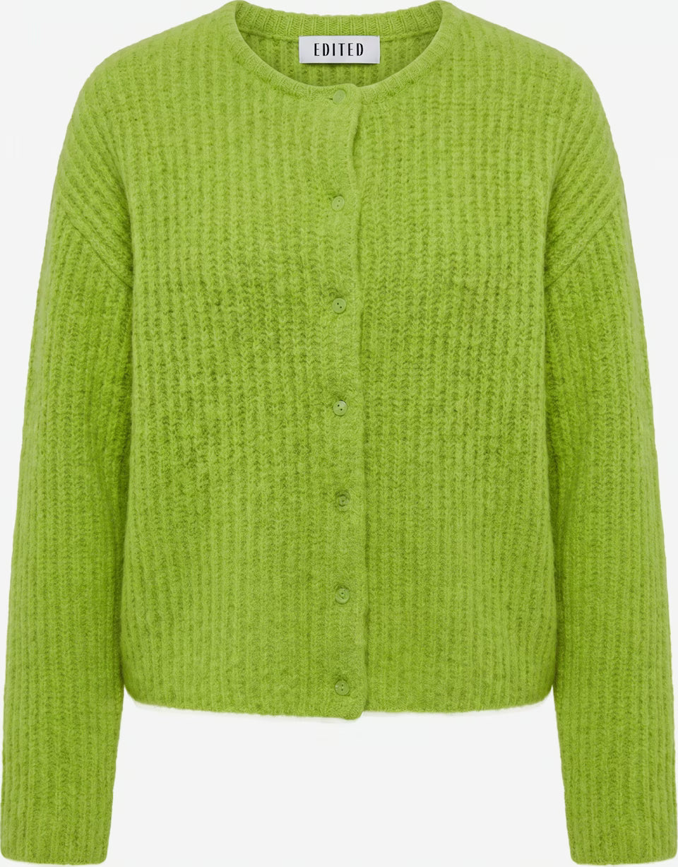 Iliana cardigan macaw green