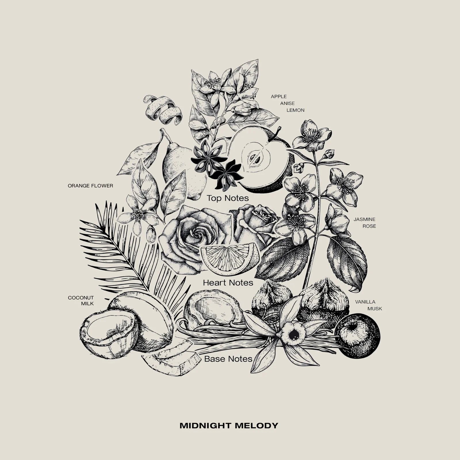 Wardrobe Diffuser Midnight Melody