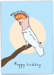 Happy birthday bird