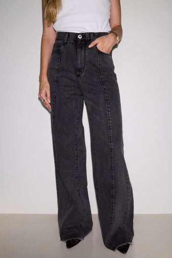 Denim Swiggy Palazzo grijs