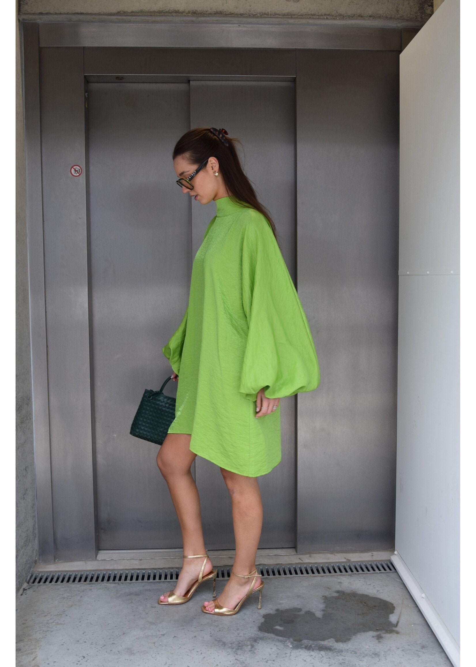 Loda Mini Dress Green